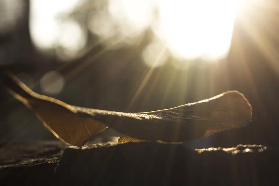 Odamdan yaxshilik qolur. Hayotiy voqea