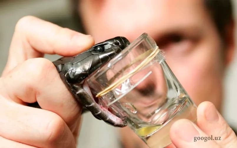 Yaxshi daromad keltiruvchi antiqa kasblar