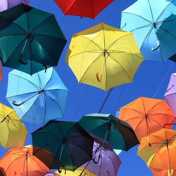 Hayot qanchalar go‘zal!