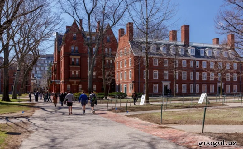 Mashina yuvgan yigit Garvard universitetining professori bo'ldi