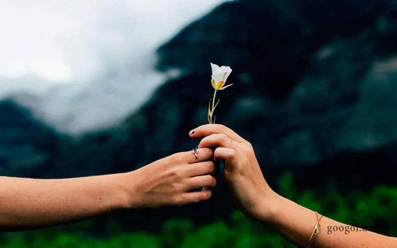 Qo‘shnilarning oqibati