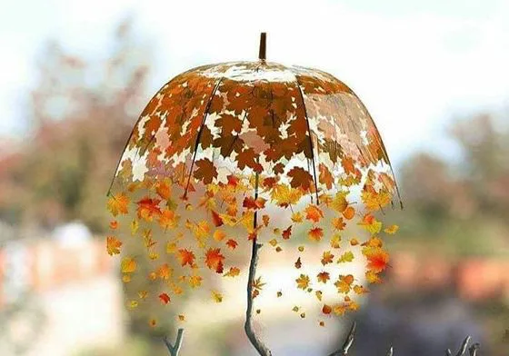 Turmush qurmay turib turmushdan qo'rqish