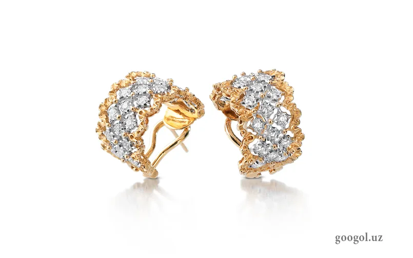 Yo'qolgan sirg'a bir necha yildan keyin topildi